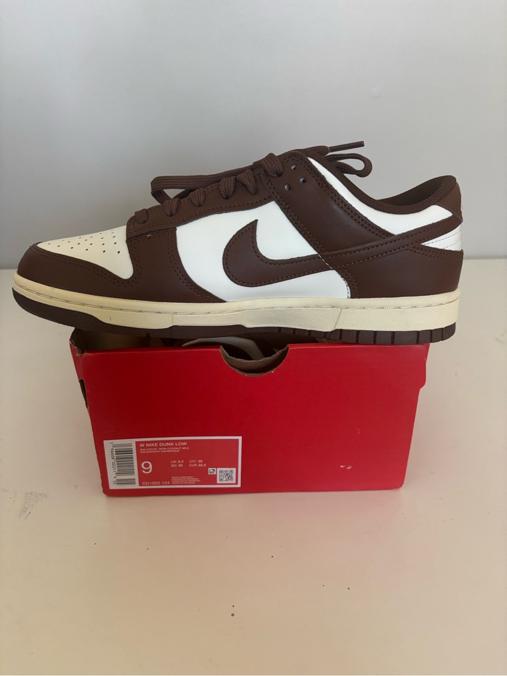 Nike Dunk Low in Brown and White